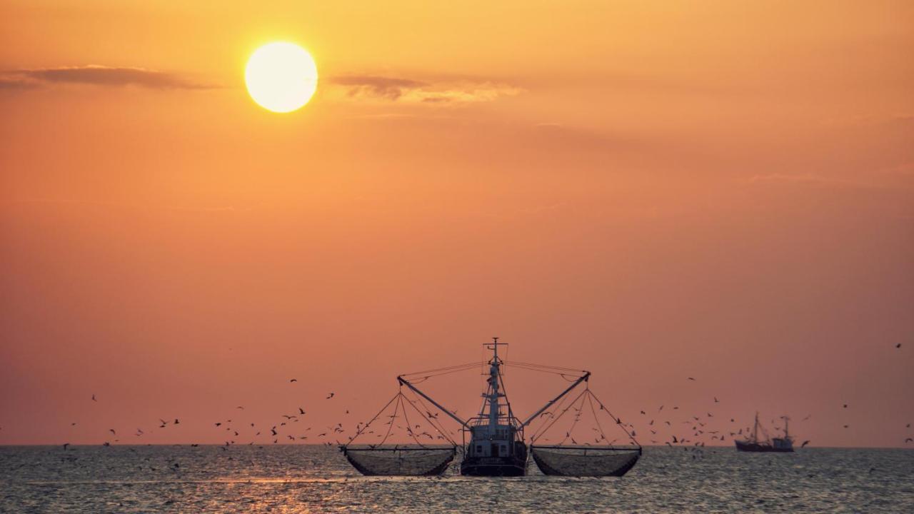 Ferienhus #2 Nordfriesland Διαμέρισμα Mildstedt Εξωτερικό φωτογραφία